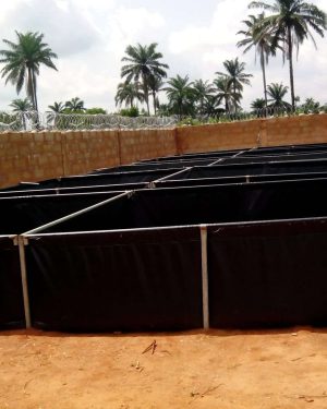 Tarpaulin Fish Pond (10 x 10ft 3ft Height)