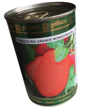 Tomato Rio Grande Monsoon