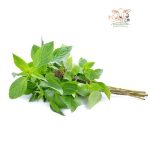 Wellgrow Basil Sweet Thai | 1gm 700 seeds