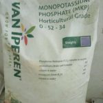 Van Iperen Monopotassium Phosphate 0-52-34
