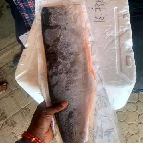 Frozen Salmon Fish | 1kg