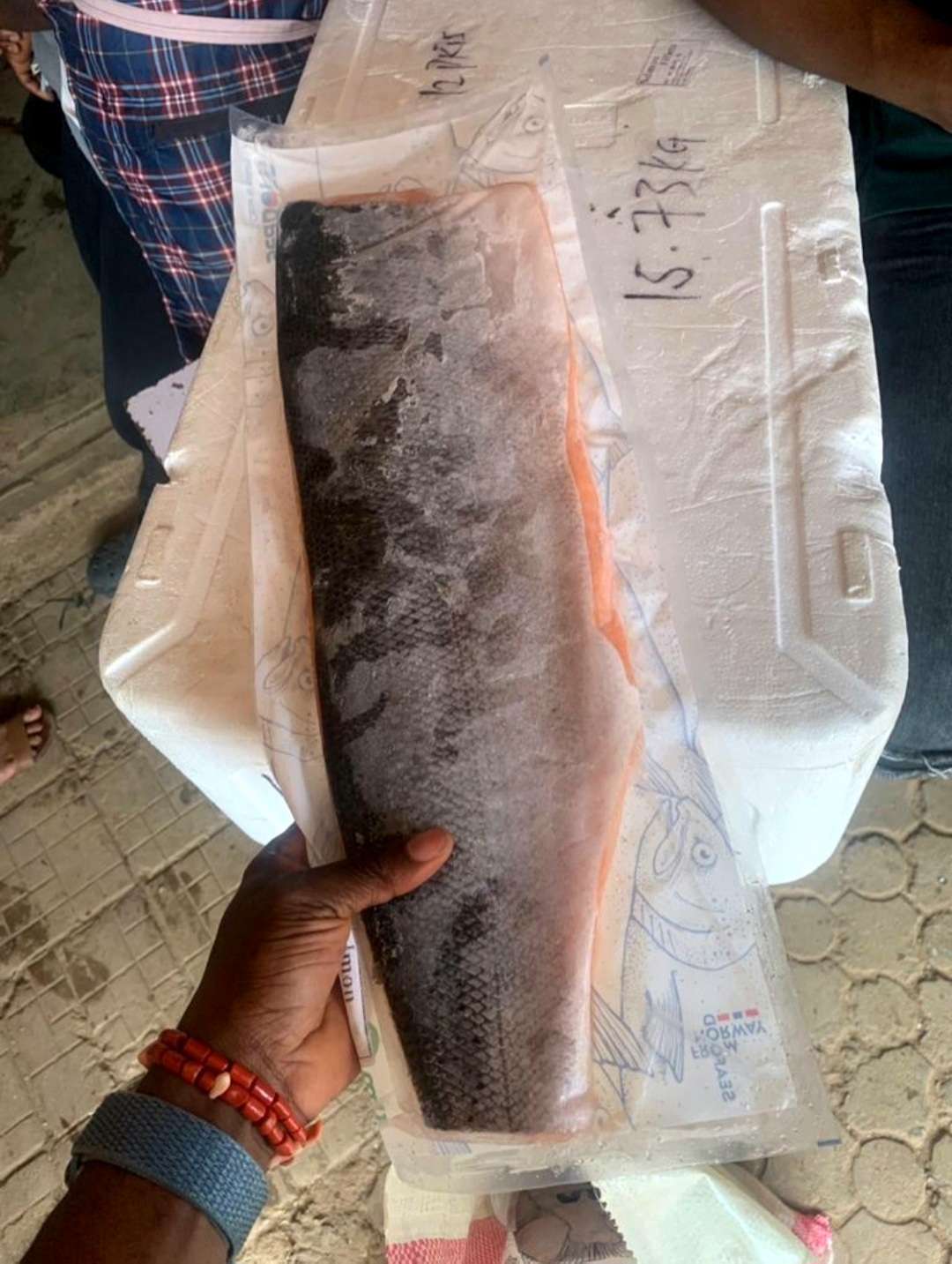 Frozen Salmon Fish