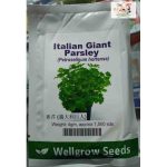 Wellgrow Italian Giant Parsley