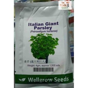 Wellgrow Italian Giant Parsley