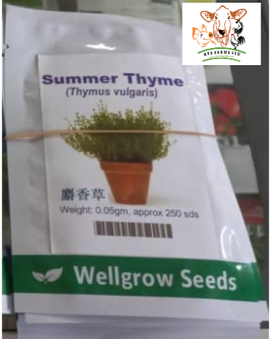 Wellgrow Summer Thyme | 0.05gm 250 seeds