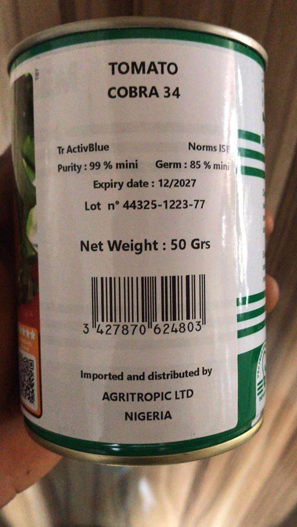 Technisem F1 Cobra 34 Tomato Seed (50g)