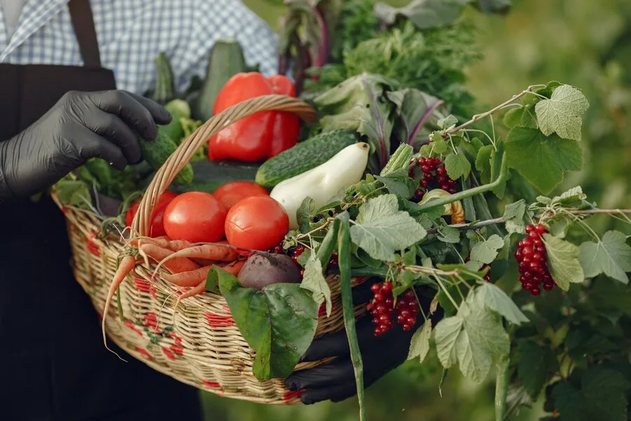 Sustainable Agriculture Practices: Methods and Benefits of Organic Farming