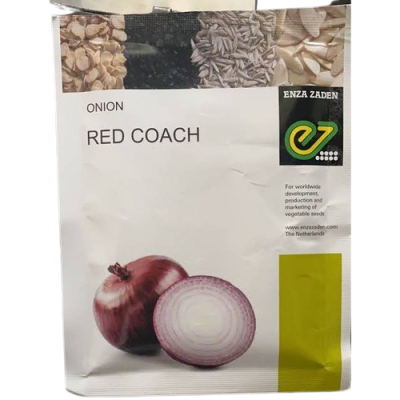 Onion Red Coach | 100g (25,000 seeds)