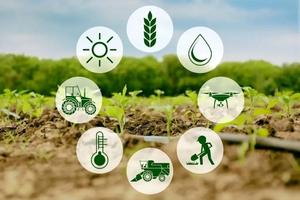 HTS Farms and the Promotion of Regenerative Agriculture in Nigeria