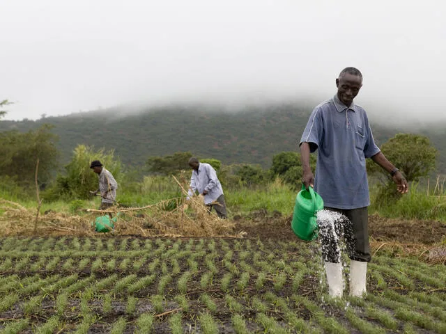 Sustainable Agriculture at HTS Farms: Empowering Farmers Through E-Commerce