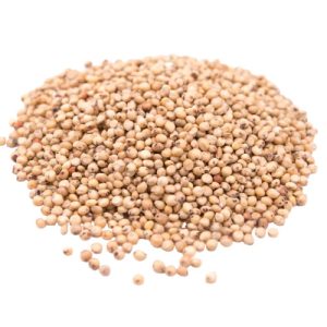Sorghum | 100kg