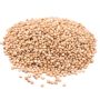 Sorghum | 100kg
