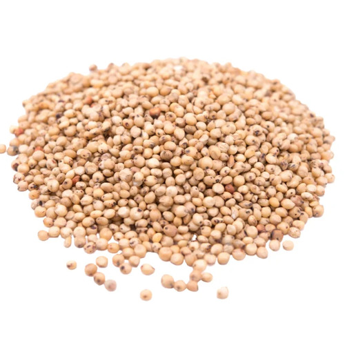 Sorghum | 100kg