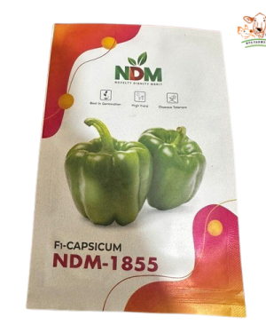 F1 Capsicum (sweet pepper) NB-1855 | 5g