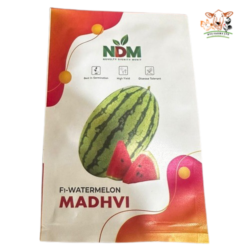 F1 Watermelon Madhvi | 5g from HTS Farms