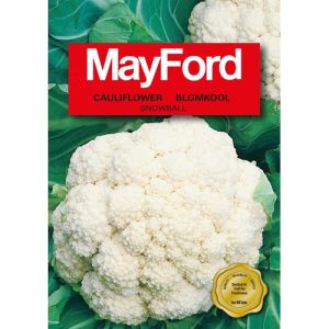 Mayford Cauliflower Snowball | 1g