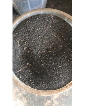 Jute Leaf Seeds | per cup