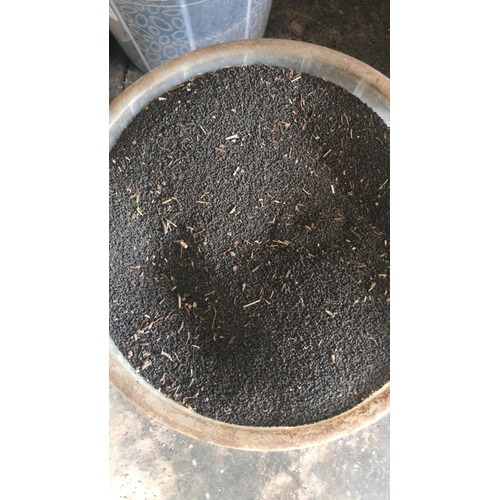 Jute Leaf Seeds | per cup