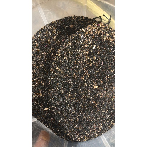 Shoko Leaf Seeds | per cup