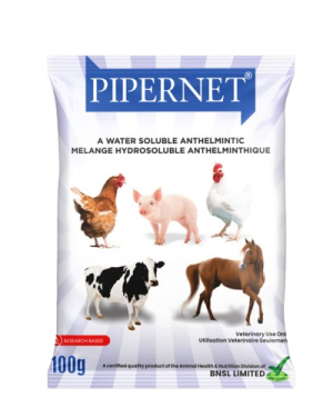 Pipernet | 100g x 50 from HTS Farms