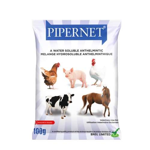 Pipernet | 100g x 50 from HTS Farms