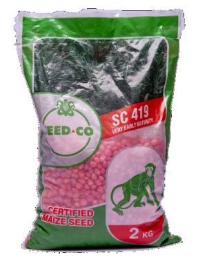 Seed Co SC-419 Maize Seeds | 5kg