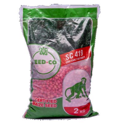 Seed Co SC-419 Maize Seed | 2kg