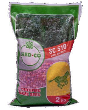 Seed Co SC 510 Maize Seeds | 2kg