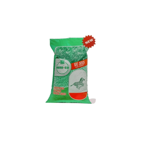 Seed Co SC-555 Maize Seed | 25kg