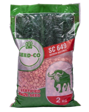 Seed Co SC-649 Maize Seeds | 2kg