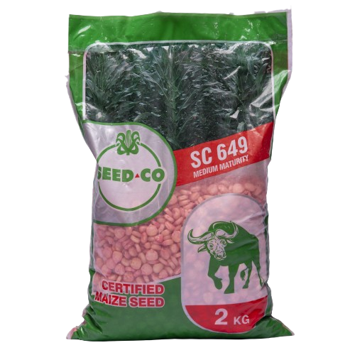 Seed Co SC-649 Maize Seeds | 2kg