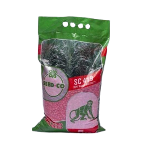 Seed Co SC-419 Maize Seeds | 5kg