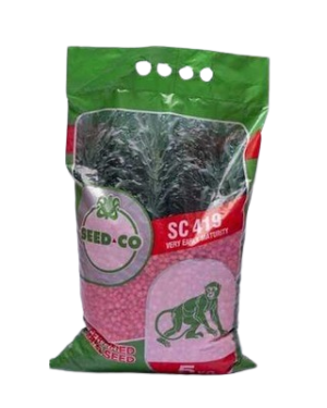 Seed Co SC-419 Maize Seeds | 5kg
