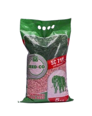 Seed Co SC-651 Maize Seeds | 5kg