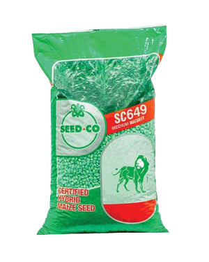 Seed Co SC-649 Maize Seeds | 5kg