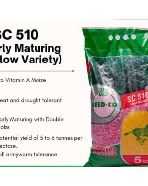 Seed Co SC 510 Maize Seed | 5kg
