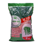 Seed Co SC-719 Maize Seeds | 2kg