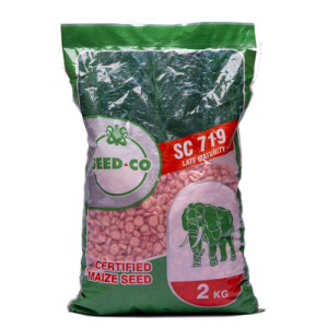 Seed Co SC-719 Maize Seeds | 2kg