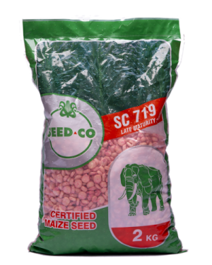 Seed Co SC-719 Maize Seeds | 2kg