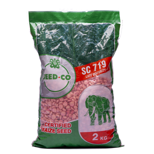 Seed Co SC-719 Maize Seeds | 2kg