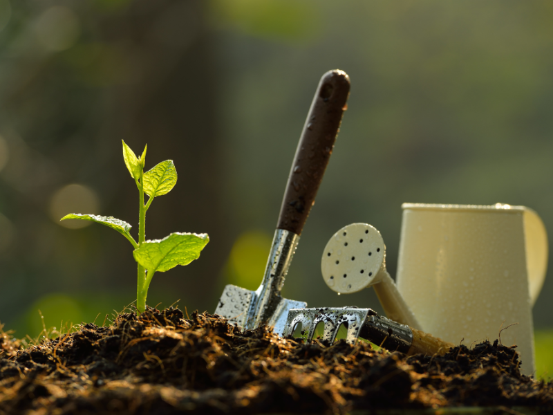 farming process and equipment