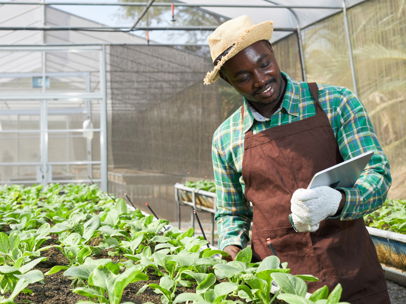 modern farmer in the enclosed organic farm