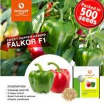 Falkor (Red) Pepper seed | 500 seeds x 1 pack