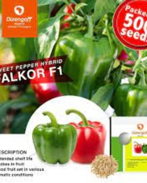 Falkor (Red) Pepper seed | 500 seeds x 1 pack
