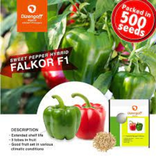 Falkor (Red) Pepper seed | 500 seeds x 1 pack