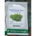 Well Grow Basil Sweet Thai | 1gm Approx 700 Seeds