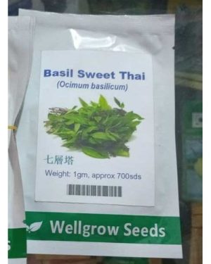 Well Grow Basil Sweet Thai | 1gm Approx 700 Seeds