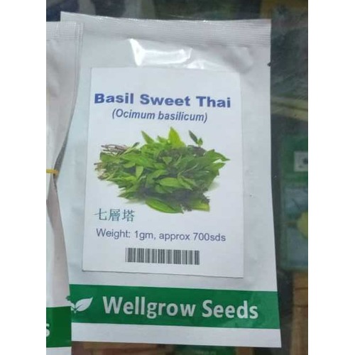 Well Grow Basil Sweet Thai | 1gm Approx 700 Seeds