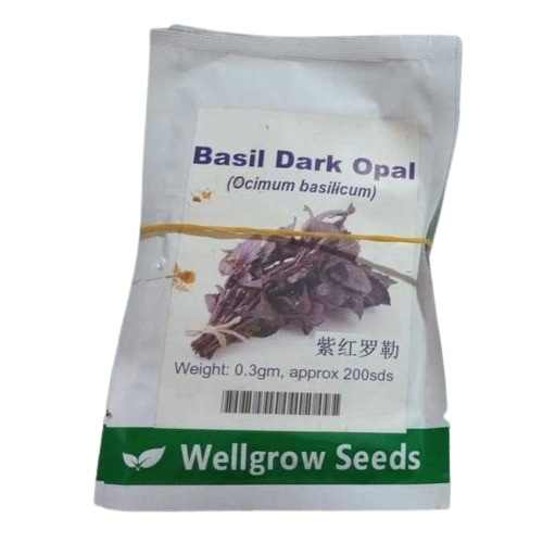 Well Grow Basil Dark Opal Seeds | 0.3gm Approx 200 Seeds