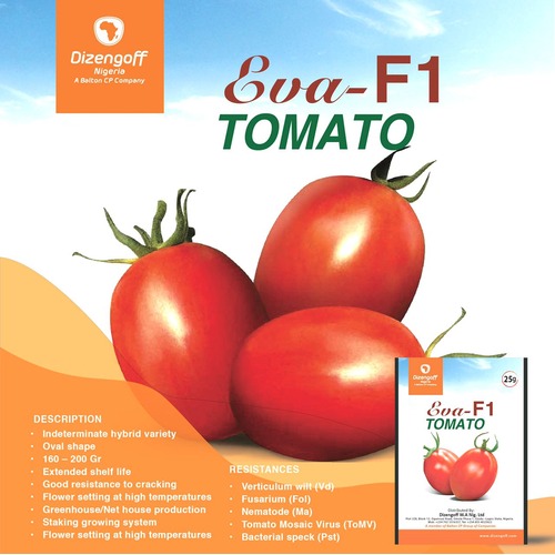 Eva F1 Tomato Seeds from HTS farms